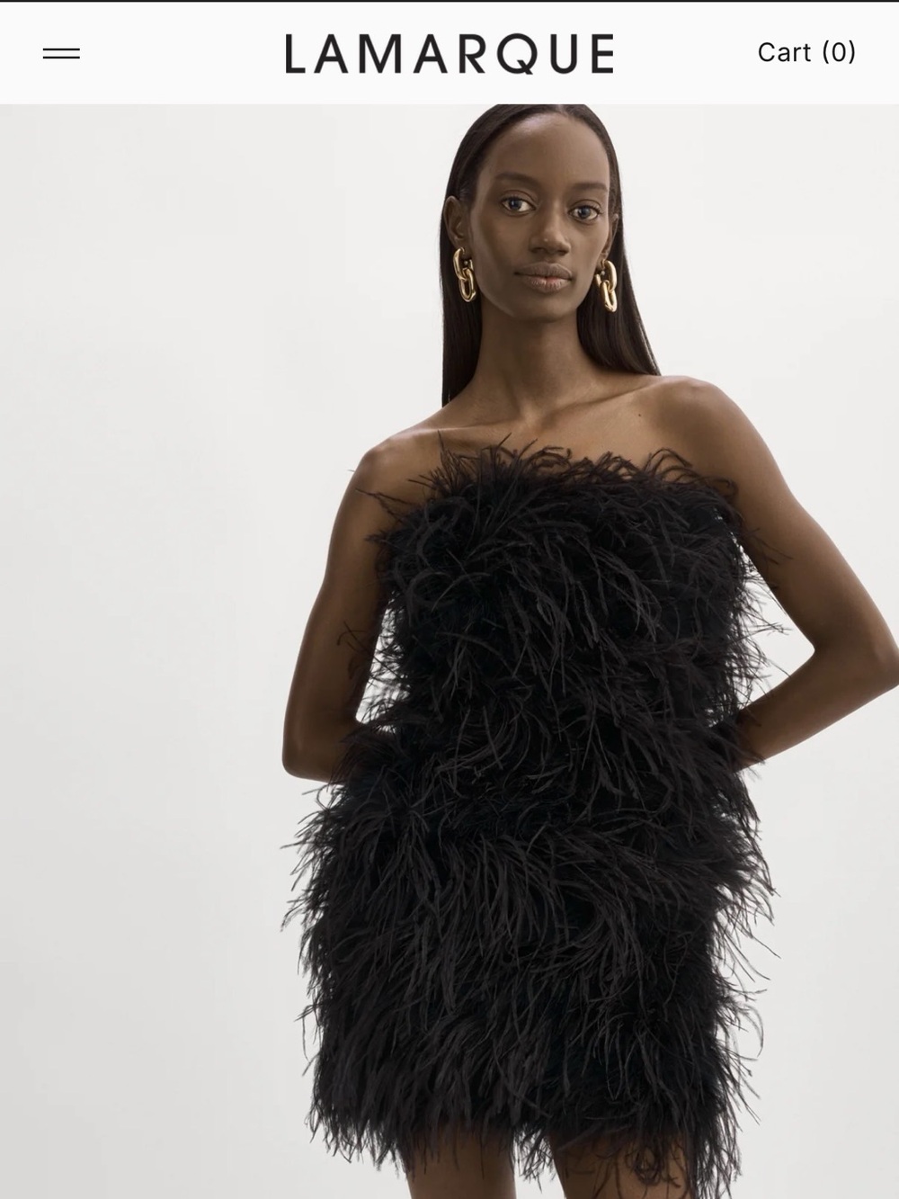 Strapless Black Feather Mini Dress